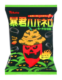 �\�N�n�o�l���@�`�K�[�i�鋫�с`