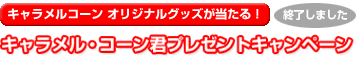 �v���[���g�L�����y�[��
