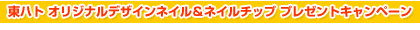 ���n�g�E�I���W�i���f�U�C���l�C�����l�C���`�b�v�@�v���[���g�L�����y�[��