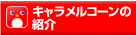 �L���������R�[���̏Љ�