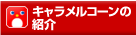 �L���������R�[���̏Љ�