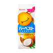 ハーベストハイココナッツ